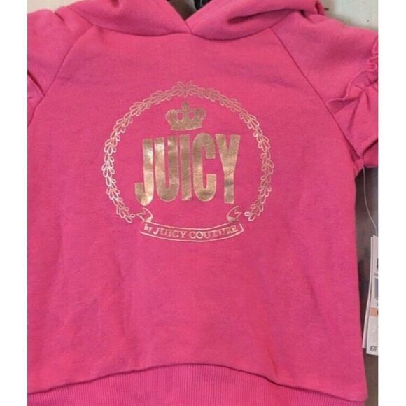 Juicy By Juicy Couture Girls Size 2T Pink Assorted Long Sleeve Pullover Hoodie - Picture 4 of 10